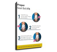 ITCLEYMDZV Traffic Education Poster Seat Belt Usage Guide Driving School Wall Chart for Classroom DMV Office Decor Gift(Framed,08x12inch(20x30cm))