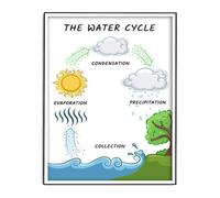 ITCLEYMDZV Water Cycle Bulletin Board Set Science Classroom Decorations for Middle School High School Earth Science(Unframed,12x18inch(30x45cm))