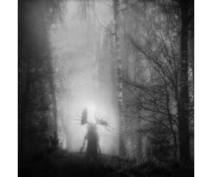 Iterum Nata From the Infinite Light (CD) Album (Jewel Case)