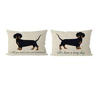 ITFRO Set di 2 federe per cuscino con cane con scritta "All You Need is Love and Its Been A Long Day" bassotto, beige, crema, in iuta lombare, per divano, decorativo, rettangolare, 30,5 x 50,8 cm