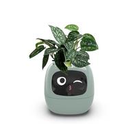 Itigoitie Vasi da fiori intelligenti, fioriera intelligente per animali domestici, fioriera AI, vasi da fiori intelligenti, espressioni multiple, 7 sensori intelligenti e chip Ai rendono l'allevamento
