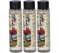 Itinera Bagnodoccia con Mela del Trentino Alto Adige Dolce 100ml 3x100