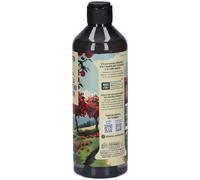 Itinera Bagnodoccia con Mela del Trentino Alto Adige Dolce 370ml 370 m