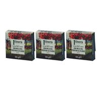Itinera Sapone Mani e Corpo con Mela del Trentino Alto Adige Dolce 3x1