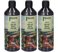 Itinera Shampoo Ricci Sublimi Con Uve Rosse Toscane Flacone 3x370 ml