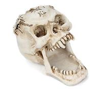 Itkcozcg Cranio Per Testa Ornamento Scheletro Portapenne Desktop Matita Organizzatore Trucco Stor Pen Rack Legno