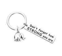 Itkcozcg Portachiavi a forma di elefante in metallo che simboleggia la forza saggezza motivazionale per ufficio decorazione per coraggio successo regali ispiratori portachiavi incoraggiamento ufficio