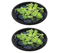 Itkcozcg Rete protettiva traspirante multiuso per acqua da giardino, blocchi foglie mantiene l'ambiente dell'acqua pulita Protettori per piante galleggianti