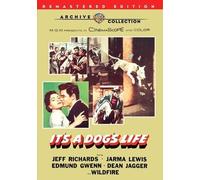 It's A Dog's Life (DVD) Willard Sage Dean Jagger Edmund Gwenn Richard Anderson