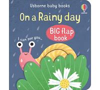 It's A Rainy Day (Baby's Big Flap Books)