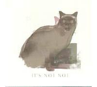 IT'S NOT NOT - BOUND FOR THE SHINE