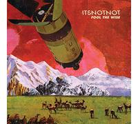 IT'S NOT NOT - FOOL THE WISE -DOWNLOAD-