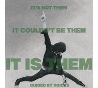 It'S Not Them It Couldn't Be Them It Is Them - Guided By Voices (Audio Cd)