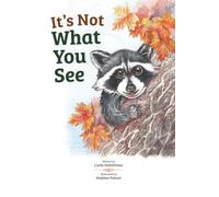 It's Not What You See