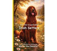 It's Time to Learn about Irish Setters