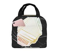 IUBBKI Borse per il pranzo del musicista della fisarmonica ad aria retrò Scatola per il pranzo isolata con borsa termica riutilizzabile tascabile per la spiaggia da picnic