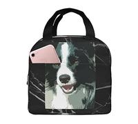 IUBBKI Borse per il pranzo per cani Border Collie Contenitore per il pranzo isolato con tasca Borsa termica riutilizzabile per picnic sulla spiaggia