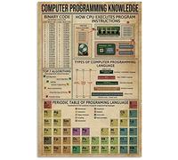 IUBBKI Conoscenza della programmazione informatica Conoscenza della programmazione informatica Infografica retrò vintage Targa in metallo Poster in metallo per Bar Cafe School 12x16 pollici