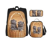 IUBBKI Set di 3 zaini grigi Scottish Fold con gatti, astuccio portapenne e borsa porta pranzo, per uomini, donne, ragazzi e ragazze.