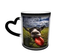 IUBBKI Tazza cambia colore a forma di asino divertente nel cielo Tazza sensibile al calore in ceramica Tazze da latte Design sensibile al calore per regali Idea personalizzata per ufficio 12 Oz