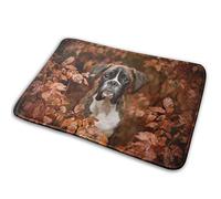 IUBBKI Zerbino Boxer Cani Autunno Natura Zerbino Zerbino Zerbino Tappeto Interno/Esterno/Porta Anteriore Stuoia Bagno 40X60CM