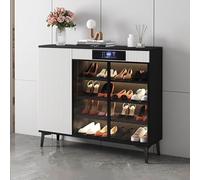 IUBGFTO Armadio portascarpe con disinfezione Intelligente, Sistema di Asciugatura a Temperatura costante 40℃, Armadio portascarpe con Ante in Vetro temperato, Organizer per Scarpe (Nero)