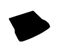 IUIOXCH Tappetino for bagagliaio in pelle compatibile con Lotus Emeya 2024-25(Five seats)