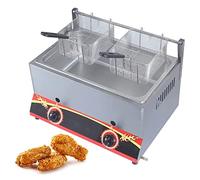 IUokLU Friggitrice a gas, friggitrice commerciale, friggitrice in acciaio inossidabile con cestini per friggitrice e coperchio per friggitrice a gas, temperatura regolabile, friggitrice per ristorante