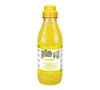 Iv san bernard shampoo zenzero e sambuco 500ml