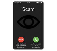 Ivan Franceschini Ling Li Mark Bo Scam (Tascabile)