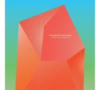 Ivar Grydeland & Henry Kaiser In the Arctic Dreamtime (CD) Album