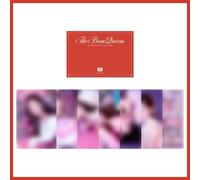 IVE THE FIRST FAN CONCERT THE PROM QUEENS OFFICIAL MD GOODS POST CARD SET (7ea)
