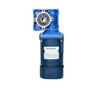 IVEKYKIBC Motore Elettrico a Vite Senza fine da 120 W, 220 V CA, Scatola di riduzione RV30, Coppia Elevata, Marcia avanti e retromarcia(5IK120RA-D-RV30 35 RPM)