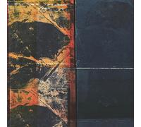 Ivo Perelman/Nate Wooley Polarity 2 (CD) Album (PRESALE 23/01/2026)