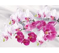Ivpss 5d Fai Da Te Diamante Pittura Orchidea Immagine Full Squareround Diamond Mosaico Resina Ricamo Artigianato Home Decor Regalo 40x60cm NoFramed