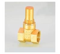 IVXWNIXPG 1PCS 1/2 "3/4" 1 "Chiusura saracinesca in Rame DN15 DN20 DN25 for Interruttore contatore dell'Acqua antifurto Adattatore valvola di irrigazione(with Key,G1 1)