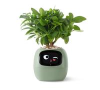 Ivy AI Smart Plant Pot with Emoji Intelligent Planter Robot for Houseplants Tamagotchi Flower Pot Stylish Plantagotchi Home Decor