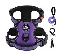 IVY&LANE Pettorina per cani di piccola taglia, con guinzaglio, cintura di sicurezza e cinghia, completamente regolabile, striscia riflettente a 360°, manico morbido (viola, S)