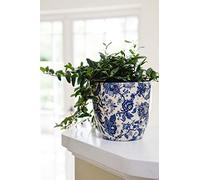 Ivyline Vaso per Piante, Ceramica, Crema/Rosa/Blu, 16 cm