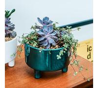Ivyline - Vaso per Piante, Ceramica, Smeraldo, Taglia Unica