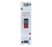 IWEBQSAP Interruttore Automatico MCCB DC 250V 1P 100A 80A 63A 40A Interruttore di Protezione da sovraccarico Solare fotovoltaico Protettore ad Alta Corrente