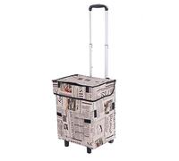 IWENZHKPA Trolley Portaspesa Carrello della Spesa Pieghevole 41L capacità di Carico Asta Trazione in Lega Alluminio Grande Carrello Ruote Spesa