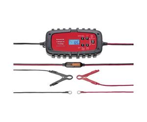 IWH 75901 0 0 Caricatore automatico 12 V, 6 V 2 A, 4 A, 6.5 A