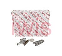 Iwis Motorsysteme Kit Catena Pompa Olio Per Audi A1 2.0 TFSI Quattro TT