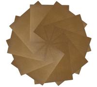 IWOWHERO 10 pezzi Protettore Termico per Strumenti Capelli Adesivo Isolante Alta Temperatura Riutilizzabile per Protezione Capelli Styling Facile e Portatile