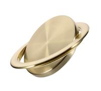 IWOWHERO per della Spazzatura da Incasso in Acciaio Inossidabile Rotondo con Integrata Copertura per Cucina e Bagno Resistente e Corrosione Design Moderno e Compatibile