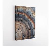 IXEHOH Stampa su tela con anello di albero astratto,immagini artistiche da parete con venature del legno rustico,immagini di fotografia naturalistica,opere d'arte,50x70 cm (20x28 pollici) con cornice