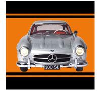 IXO 1/8 KIT MERCEDES 300 SL COUPE W198 1954 ARGENTO MODELLINO STATICO DIECAST