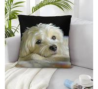 IXUEOUUXC Cute Dog Puzzle Sfidare 1000 Puzzle Teenagers Puzzle Creativo Decorazione Della Casa Regalo 50x50cm