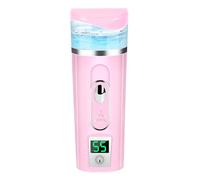 Iyalezirk Test Della Pelle Strumento Idratante Ricarica Nano Strumento Idratante Strumento di Bellezza Idratante Faccia Fumante (Rosa)